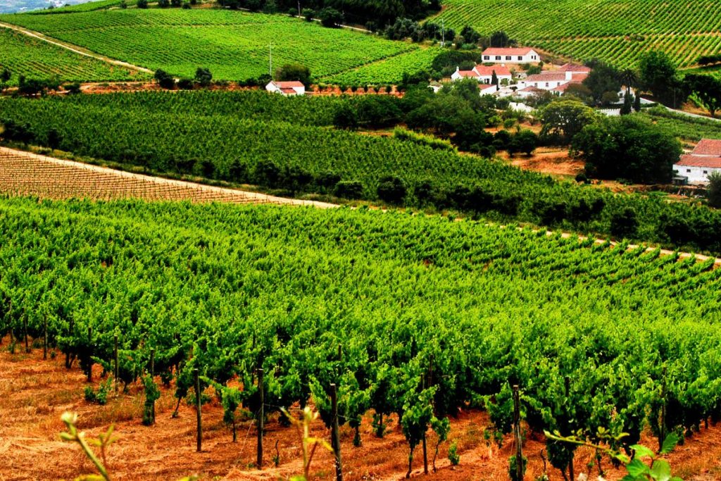 vinhais Tejo Portugal